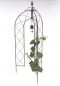 Preview: Rankhilfe mit Glocke 120264 faltbar Rankgitter H-172cm D-70cm Kletterhilfe Zaun