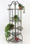 Preview: Flower stage 167cm Flower shelf 110243 Flower stand Plant stand Shelf brown
