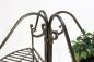 Preview: Flower stage 167cm Flower shelf 110243 Flower stand Plant stand Shelf brown