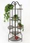 Preview: Flower stage 167cm Flower shelf 110243 Flower stand Plant stand Shelf brown