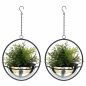 Preview: DanDiBo 2er Set Blumenampel Innen Metall Wand Hängepflanzen 53 cm 96087 M mit Topf Silber Pflanzenhänger Blumenhänger Topfhänger Blumen Blumentopfhänger Hängetopf