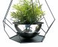 Preview: DanDiBo Blumenampel Innen Metall Wand Hängepflanzen 76 cm 96095 L mit Topf 6 Ecken Pflanzenhänger Blumenhänger Topfhänger Blumen Blumentopfhänger Hängetopf