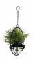 Preview: DanDiBo hanging basket indoor metal wall hanging plants 43 cm 96087 S with pot silver plant hanger flower hanger pot hanger flowers flower pot hanger hanging pot