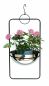 Preview: DanDiBo hanging basket indoor metal wall hanging plants 67 cm 96083 L with pot silver plant hanger flower hanger pot hanger flowers flower pot hanger hanging pot