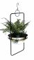 Preview: DanDiBo hanging basket indoor metal wall hanging plants 67 cm 96083 L with pot silver plant hanger flower hanger pot hanger flowers flower pot hanger hanging pot