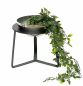 Preview: DanDiBo Blumenhocker Metall mit Topf Schwarz Silber 27 cm Blumenständer 96091 M Blumensäule Modern Pflanzenständer Pflanzenhocker