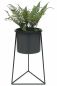 Preview: DanDiBo Flower Stool with Pot Metal Black L 45 cm Flower Stand 96052 Flower Column Modern Plant Stand Plant Stool