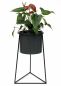 Preview: DanDiBo Flower Stool with Pot Metal Black L 45 cm Flower Stand 96052 Flower Column Modern Plant Stand Plant Stool