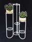 Preview: DanDiBo Flower Stairs Metal White 93922 Plant Stairs 101 cm Flower Shelf Plant Stand Flower Stand