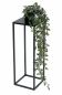 Preview: DanDiBo Flower Stool Metal Black Square 50 cm Flower Stand Side Table 96315 S Flower Column Modern Plant Stand Plant Stool