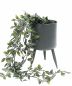 Preview: DanDiBo Flower pot with feet Plant pot Flower pot with legs Metal grey 23 cm 96260 M Modern plant stand