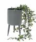 Preview: DanDiBo Flower pot with feet Plant pot Flower pot with legs Metal Grey 27 cm 96260 L Modern plant stand