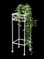 Preview: DanDiBo Flower Stool White Metal Square 50 cm Flower Stand 96314 S Side Table Flower Column Modern Plant Stand Plant Stool
