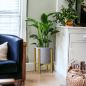 Preview: DanDiBo Adjustable Plant Stand Gold Metal 30 cm Flower Stand 96474 Flower Stool Adjustable Modern Plant Stool Flower Column