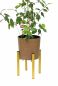 Preview: DanDiBo Adjustable Plant Stand Gold Metal 30 cm Flower Stand 96474 Flower Stool Adjustable Modern Plant Stool Flower Column