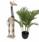 Preview: DanDiBo Deko Figur Giraffe Nr.40 Holzskulptur aus Holz Skulptur Beige Hell 68 cm Holzfigur Handgeschnitzt Stehend Tierfigur Schnitzskulptur