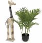 Preview: DanDiBo Deko Figur Giraffe Nr.40 Holzskulptur aus Holz Skulptur Beige Hell 68 cm Holzfigur Handgeschnitzt Stehend Tierfigur Schnitzskulptur