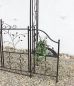 Preview: DanDiBo rose arch with door metal 18602 archway garden gate iron climbing aid trellis arched gate