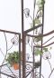 Preview: DanDiBo rose arch with metal gate 101759 garden gate 236x186 cm wrought iron trellis