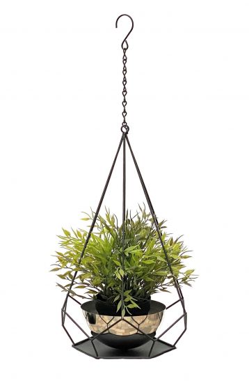 Preview: DanDiBo Blumenampel Innen Metall Wand Hängepflanzen 59 cm 96095 S mit Topf 6 Ecken Pflanzenhänger Blumenhänger Topfhänger Blumen Blumentopfhänger Hängetopf