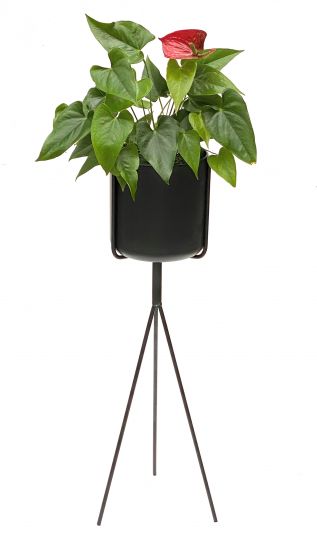 DanDiBo Blumenständer mit Topf Metall Schwarz 80 cm Blumenhocker 96022 Blumensäule Modern Pflanzenständer Pflanzenhocker