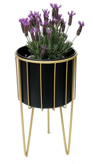 DanDiBo Blumenhocker mit Topf Metall Gold Schwarz Rund L 45 cm Blumenständer 96039 Blumensäule Modern Pflanzenständer Pflanzenhocker