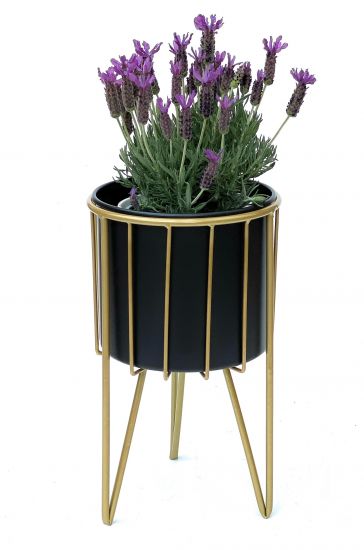 Preview: DanDiBo Blumenhocker mit Topf Metall Gold Schwarz Rund M 40 cm Blumenständer 96039 Blumensäule Modern Pflanzenständer Pflanzenhocker