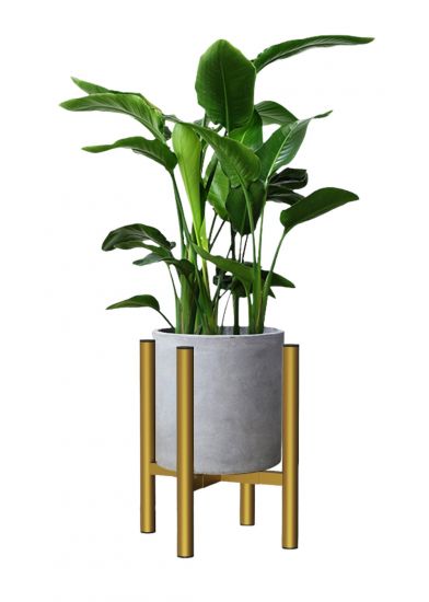 DanDiBo Adjustable Plant Stand Gold Metal 30 cm Flower Stand 96474 Flower Stool Adjustable Modern Plant Stool Flower Column