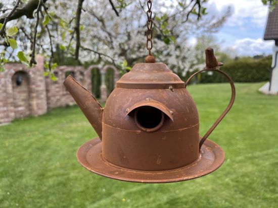 Preview: DanDiBo Vogelhaus zum Aufhängen Edelrost Deko Rost Gießkanne Wetterfest 96423 Nistkasten Futterstation für Vögel Shabby mit Kette hängend Metallkanne Kanne Balkon