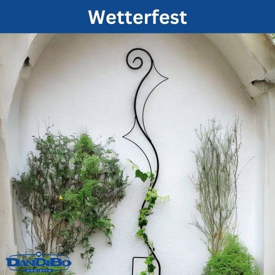 DanDiBo Rankhilfe Garten Metall Schwarz Riva Rankgitter für Kletterpflanzen 145 cm Kletterhilfe Bodenstecker