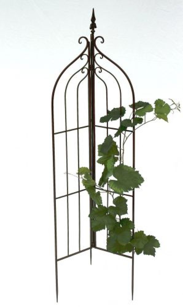 Rankhilfe 120033 faltbar Rankgitter aus Metall H-132cm D-38cm Kletterhilfe Zaun