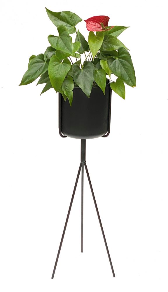 DanDiBo Blumenständer mit Topf Metall Schwarz 80 cm Blumenhocker 96022 Blumensäule Modern Pflanzenständer Pflanzenhocker