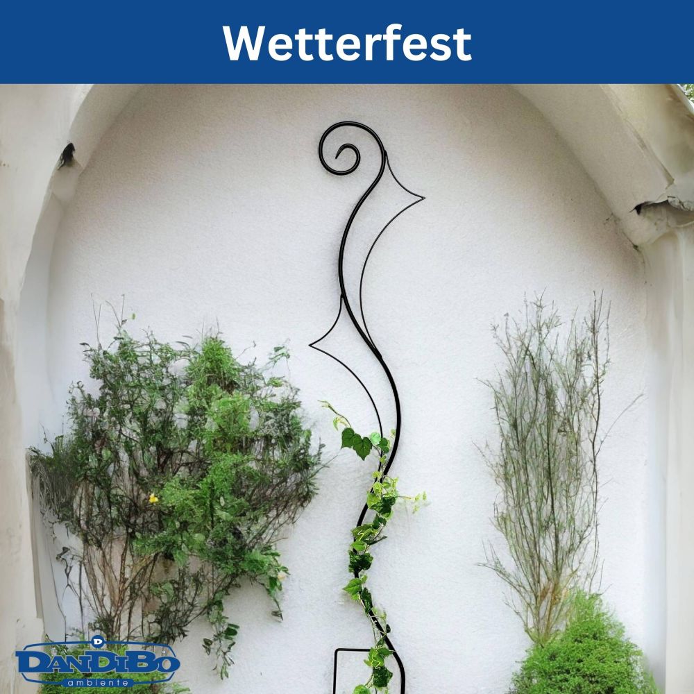 DanDiBo Rankhilfe Garten Metall Schwarz Riva Rankgitter für Kletterpflanzen 145 cm Kletterhilfe Bodenstecker